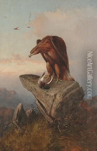 An Eagle And Its Prey On A Rock Oil Painting - William Ansdell