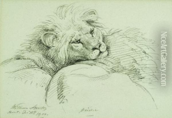Lion Oil Painting - William Strutt