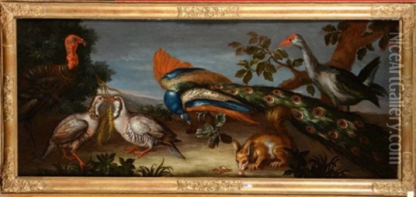 Oiseaux Et Ecureuil Dans Un Paysage Oil Painting - Jean-Baptiste Monnoyer