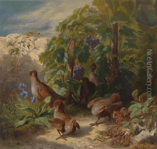 Grey Partridges Oil Painting - Josef Schuster