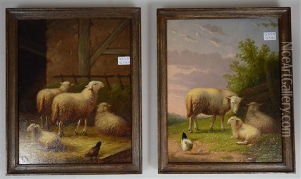 Moutons (pair) Oil Painting - Auguste Coomans