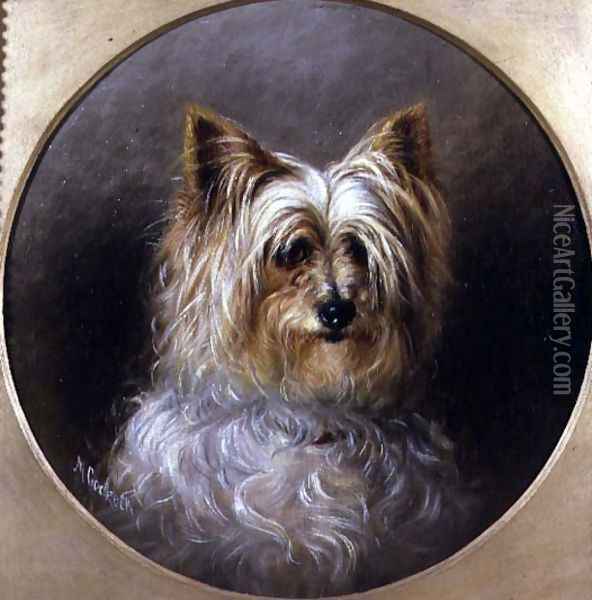 Head study of a Yorkshire terrier Oil Painting - M. Cocker