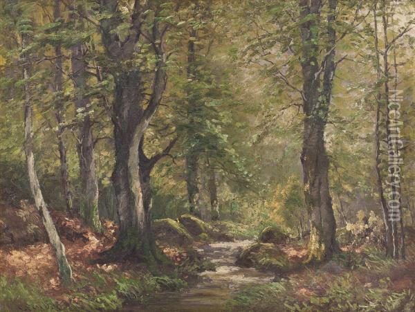 Wald In Der Eifel Oil Painting - Carl Fey