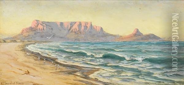 Evening Glow, Table Mountain Oil Painting - Edward C. Churchill Mace