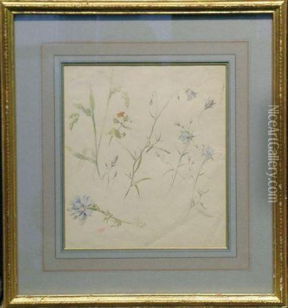 Blue Flowers With Goldenrod And A Small Red Flower Oil Painting - Hector Giacomelli