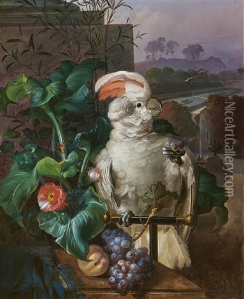 White Court Cockatoo Oil Painting - Sebastian Wegmayr