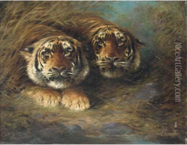 Tigers Oil Painting - Lilian Cheviot