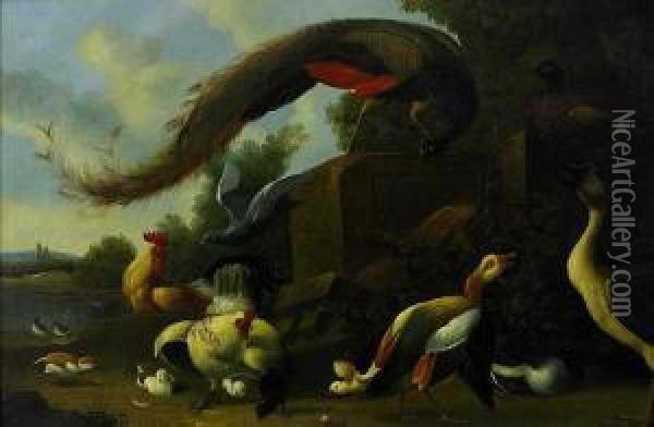 Exotic Birds In A Landscape Oil Painting - Jakob Bogdani Eperjes C