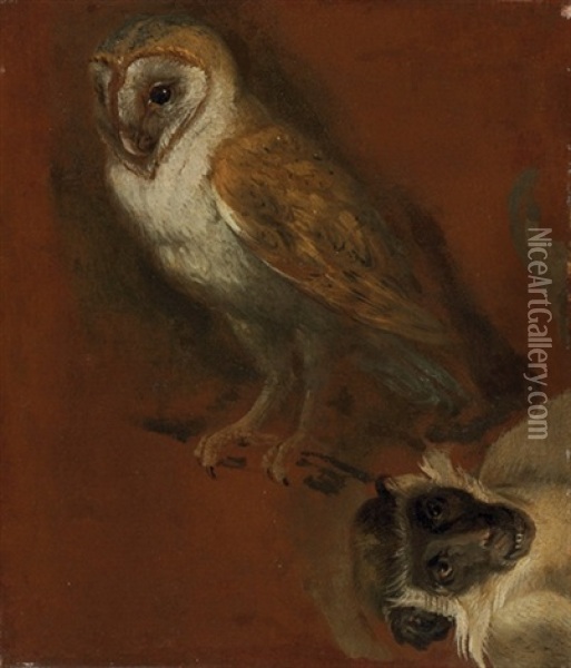 An Owl, With A Fragmentary Study Of A Monkey (study) Oil Painting - Alexandre Francois Desportes