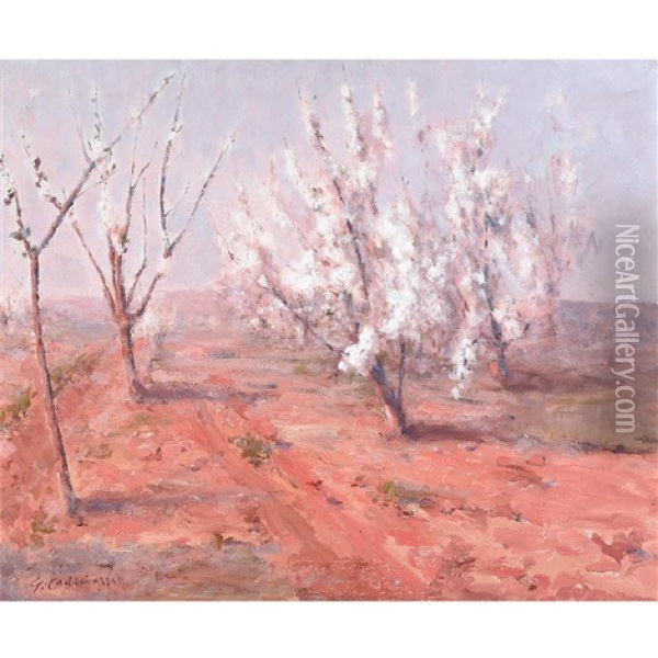 Desert Willows In Pink Landscape Oil Painting - Giuseppe Cadenasso
