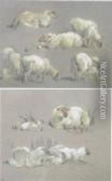 Sheep Oil Painting - Eugene Verboeckhoven