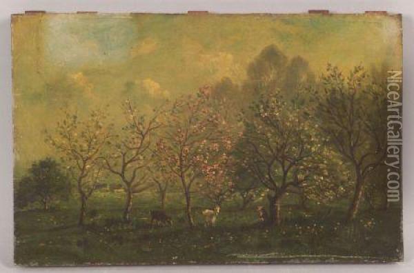 Shepherdess With Goats In An Orchard. Oil Painting - Charles-Francois Daubigny