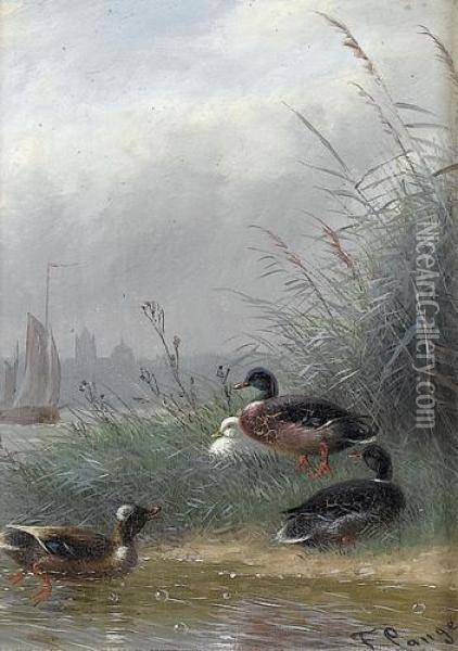Enten An Einem Flussufer Mit Schilf Oil Painting - Fritz Lange