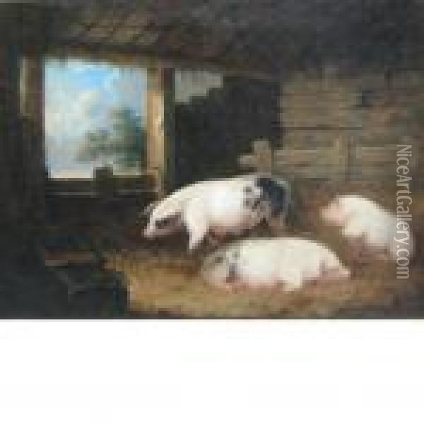 Three Sows In A Pen Oil Painting - George Morland