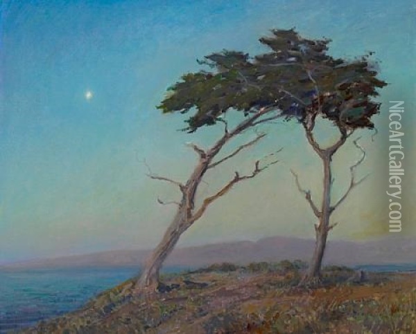 Cypress At Twilight (the Star Of Monterey) Oil Painting - Granville S. Redmond