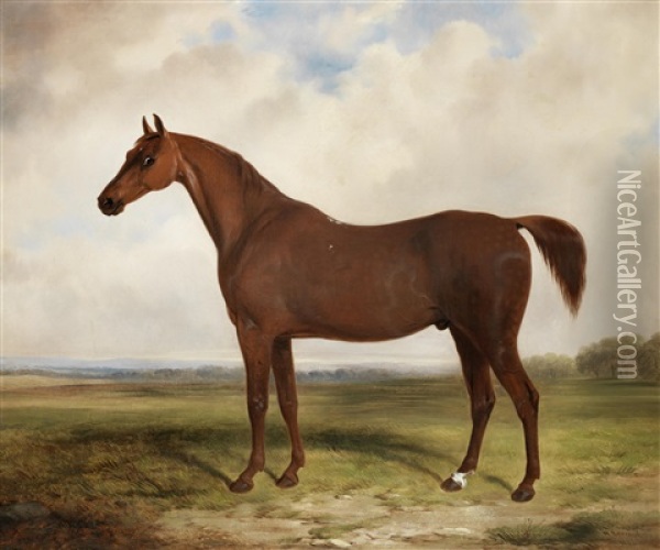 A Chestnut Horse In A Landscape Oil Painting - William Barraud