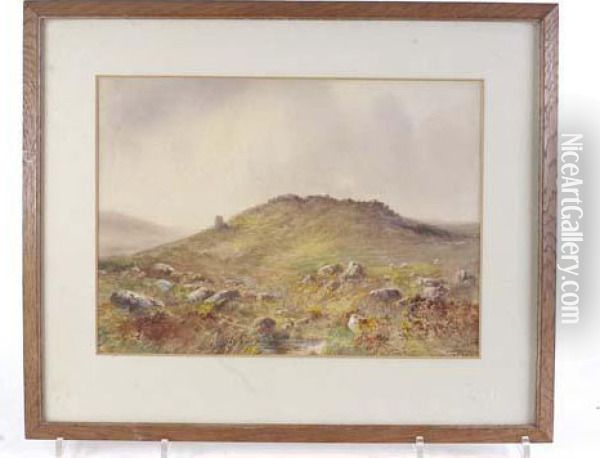 Creekston Tor, Dartmoor Oil Painting - William Henry Dyer
