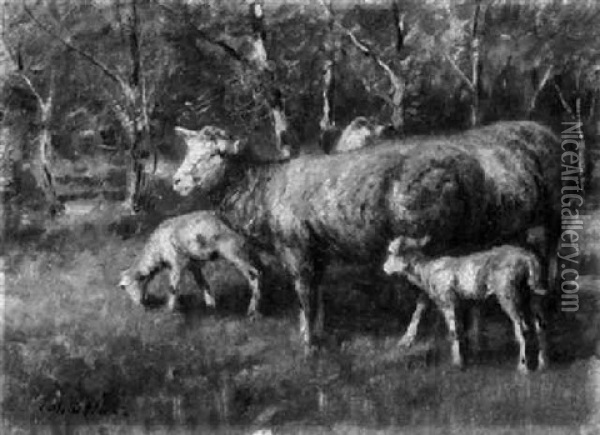 Weidende Schafe Im Baumhof Oil Painting - Johann Daniel Holz
