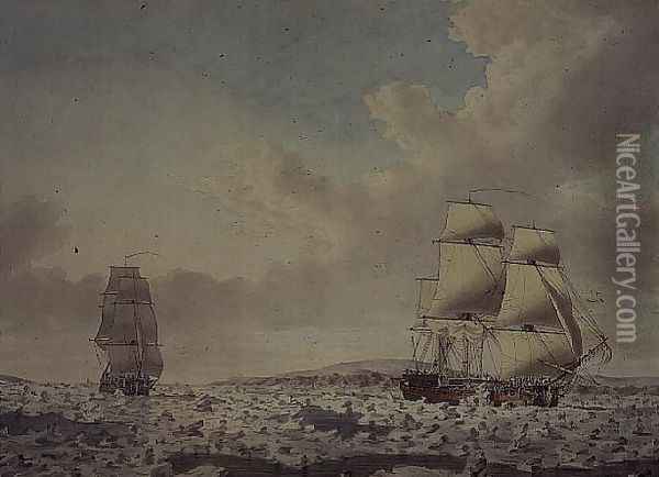 The 'Racehorse' and `Carcass' forcing their way through the ice, 10th August 1772 Oil Painting - John the Younger Cleveley