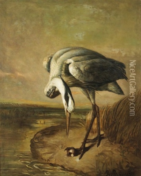 Un Heron Cendre Oil Painting - Philippe Rousseau
