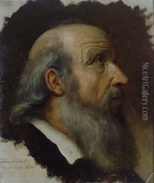 Profilo Di Uomo Con Barba Oil Painting - Giuseppe Sabatelli