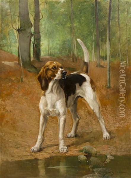 Portrait Of A Beagle Oil Painting - Alexander Pope