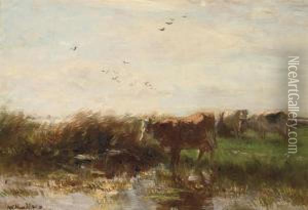 Cows Grazing On The Waterfront Oil Painting - Willem Maris