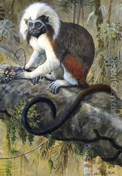Cotton Topped Tamarin Oil Painting - Louis Agassiz Fuertes