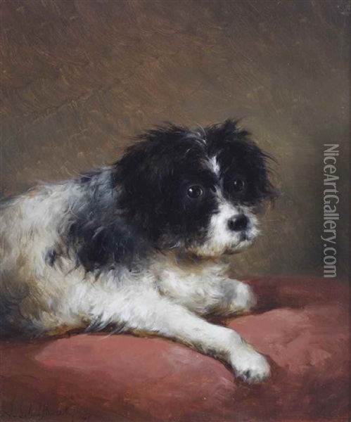 A Young Terrier On A Cushion Oil Painting - Andreas Schelfhout