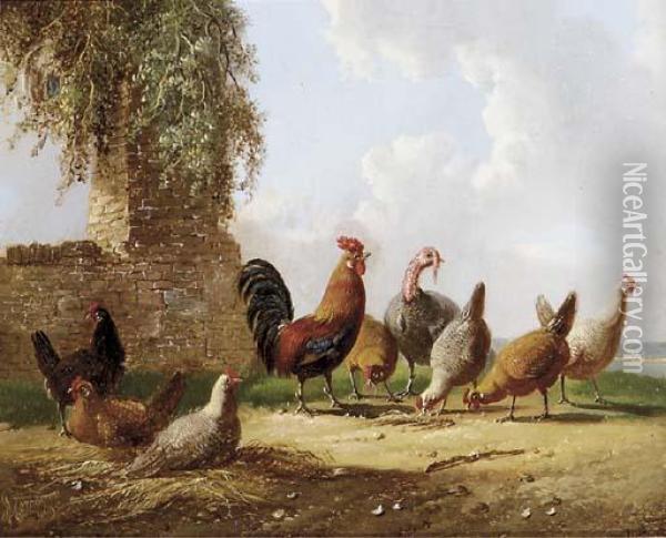 Feathered Friends Oil Painting - Albertus Verhoesen
