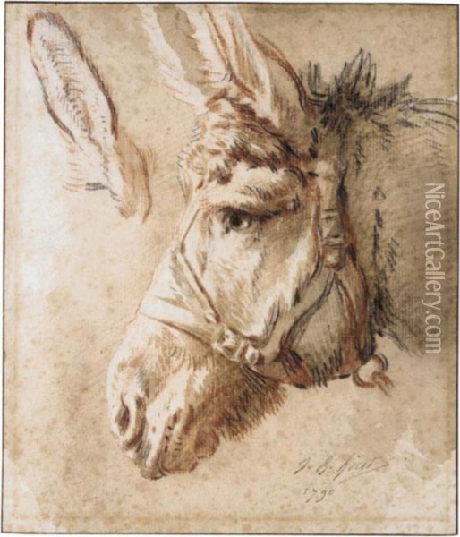 Study Of A Donkey's Head, With Another Study Of His Ear Oil Painting - Jean-Baptiste Huet I