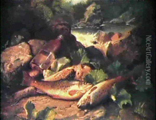 Trout On A River Bank Oil Painting - John Bucknell Russell