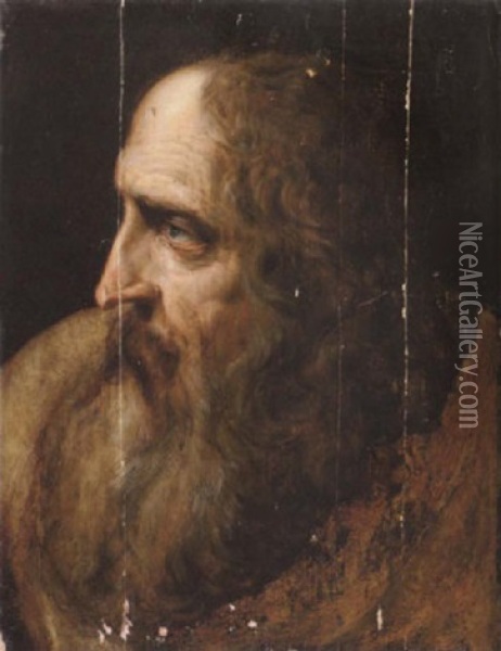 The Head Of A Bearded Man Oil Painting - Jacob De Backer