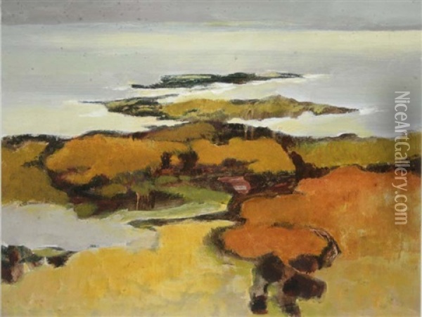 Changing Shapes In A Connemara Landscape Oil Painting - Arthur Armstrong