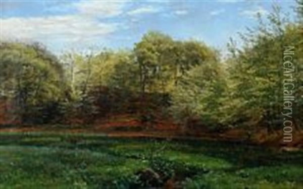 Spring Scenery By A Forest Lake Oil Painting - Janus la Cour