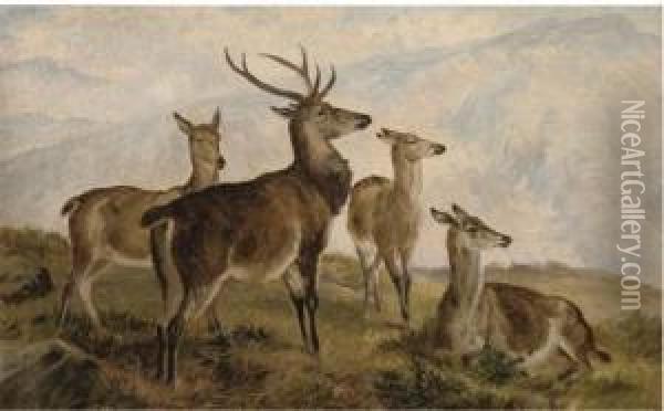 Deer In The Highlands Oil Painting - Charles Jones