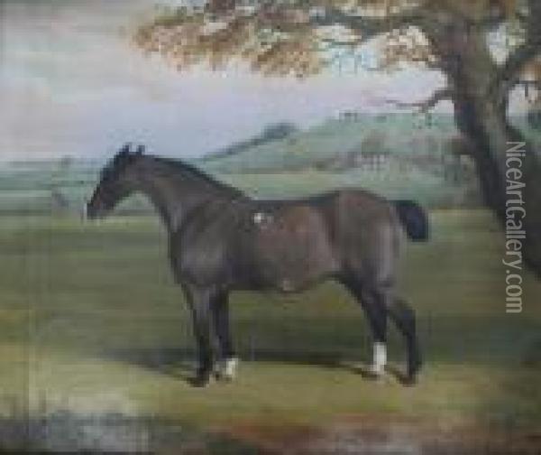 Punch, Aged 17, In A Landscape, A Hunt On A Hill Beyond Oil Painting - William Nedham