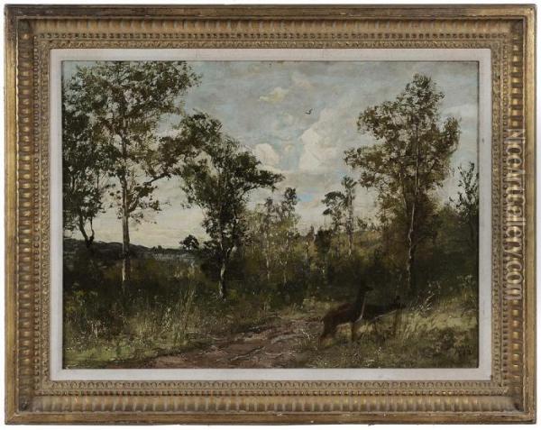Deer In A Woodland Clearing Oil Painting - Christopher H. Shearer