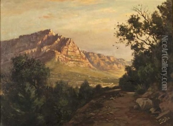 A View Of Table Mountain And The Twelve Apostles From Kloof Nek Oil Painting - Tinus de Jongh