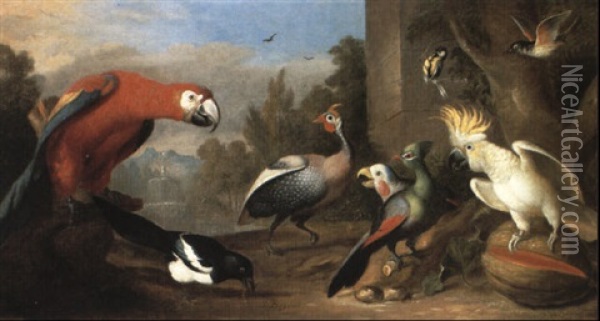 An Assembly Of Birds In A Landscape Including A    Macawm A Guinea Fowl, A Coal Tit, A Redwing Oil Painting - Jakob Bogdani