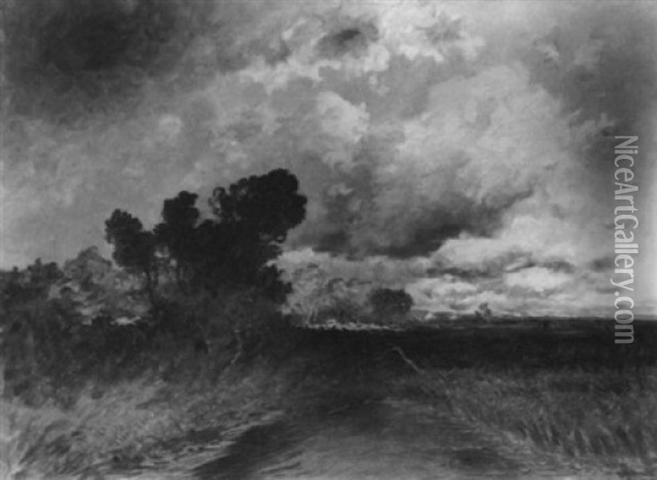 Dachauer Moos Bei Aufziehendem Gewitter Oil Painting - Franz Reder-Broili