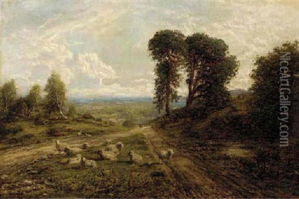 Sheep In An Extensive Landscape Oil Painting - George William Mote