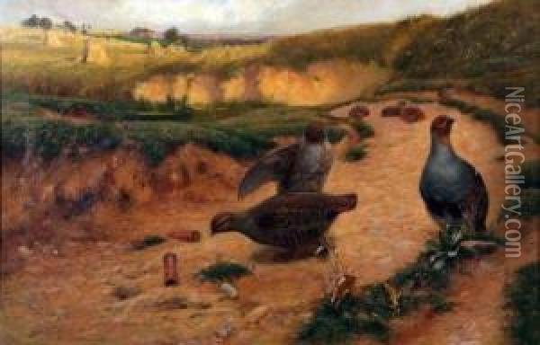 Partridges And Cartridges Oil Painting - Alfred Oliver