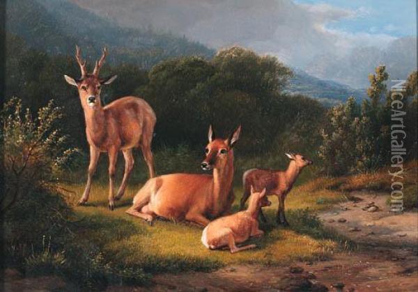 Deer In A Wooded Landscape Oil Painting - Eugene Joseph Verboeckhoven