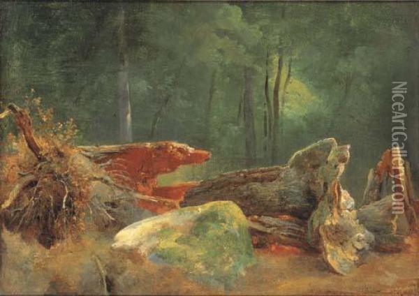 A Wooded Landscape With A Blasted Tree By A Rock Oil Painting - Jean-Baptiste-Adolphe Gibert