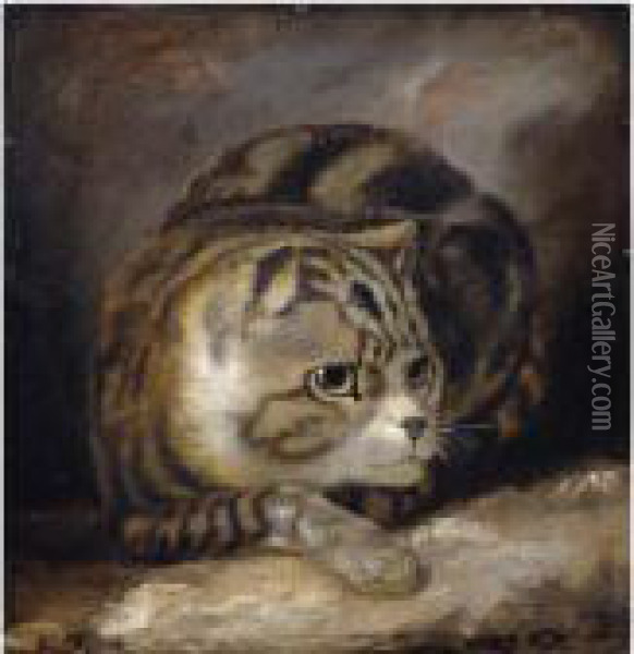 A Wild Cat Oil Painting - James Northcote