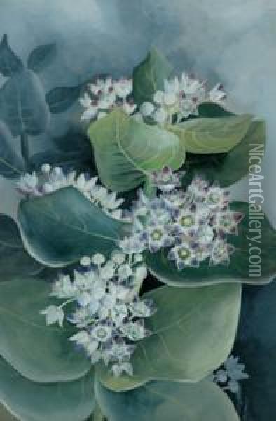 Flower Study Oil Painting - Marian Ellis Rowan