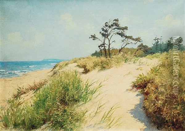 Strand Mit Dunen Oil Painting - Hermann Seeger