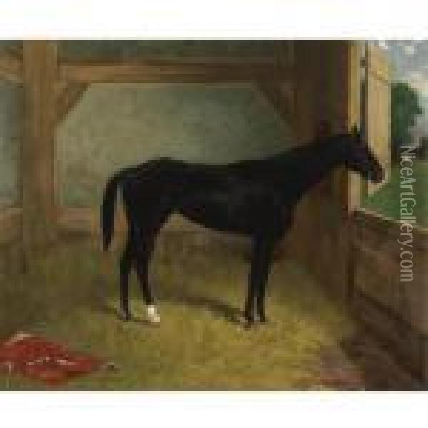 Black Horse Oil Painting - Henry Stull