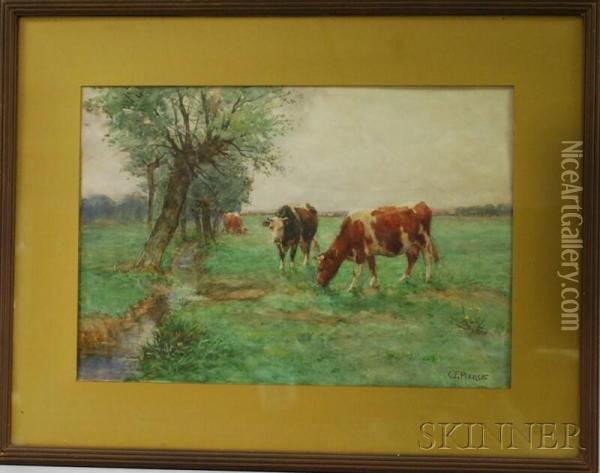 Cows Grazing By A Stream Oil Painting - Charles Franklin Pierce